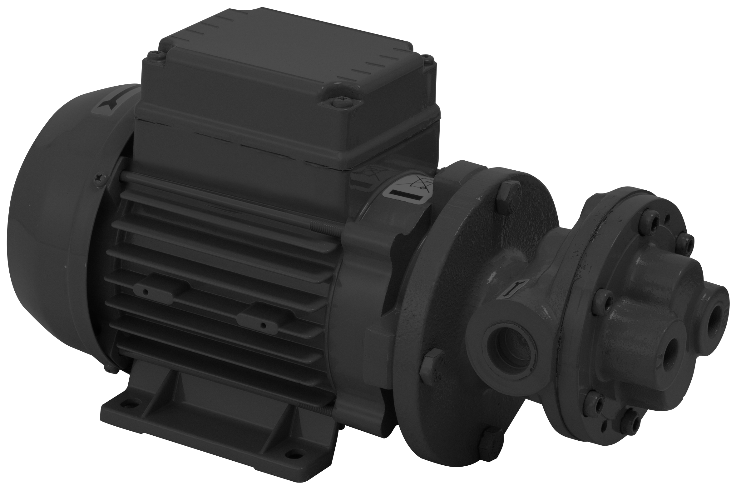max. Fördermenge (l) 5,5 l/min, 10 bar